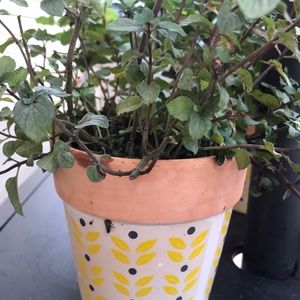 Meet your Posher, Zak